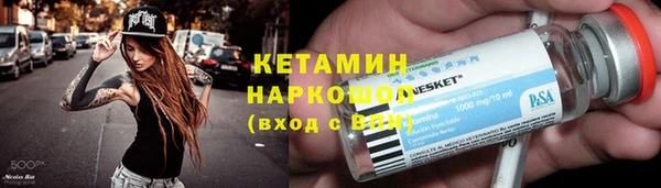 прущие грибы Лабытнанги