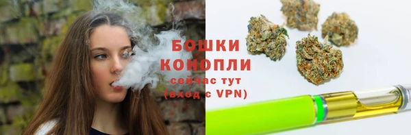 тгк Ладушкин