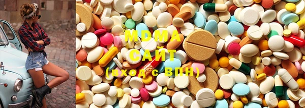 прущие грибы Лабытнанги