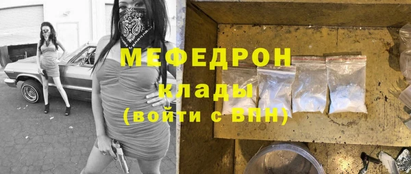 прущие грибы Лабытнанги