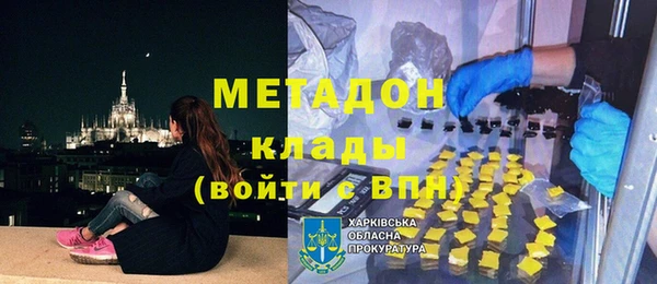 прущие грибы Лабытнанги