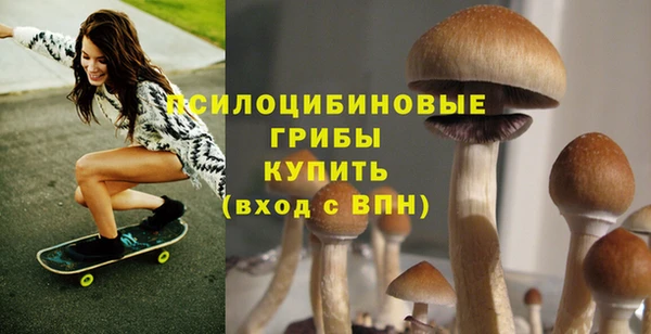 тгк Ладушкин