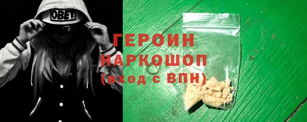 прущие грибы Лабытнанги
