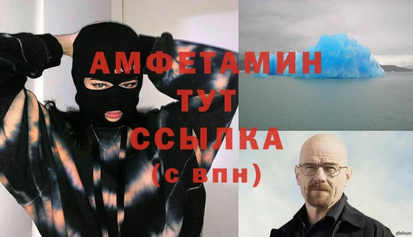 прущие грибы Лабытнанги